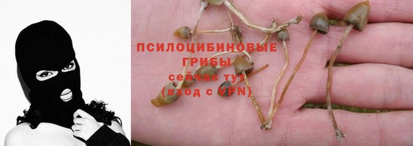 стафф Пересвет