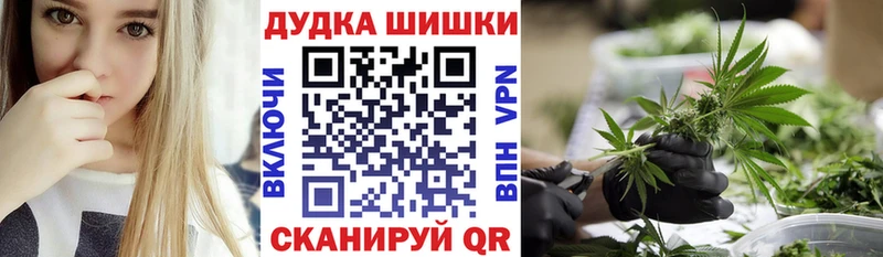 где найти наркотики  Палласовка  Бошки марихуана ГИДРОПОН 